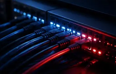 Network switch with cabling, representing structured network infrastructure